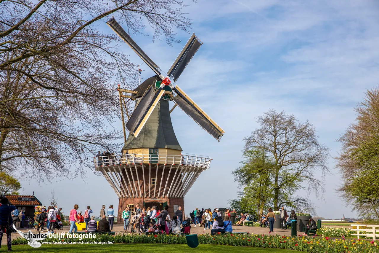 molen fraai