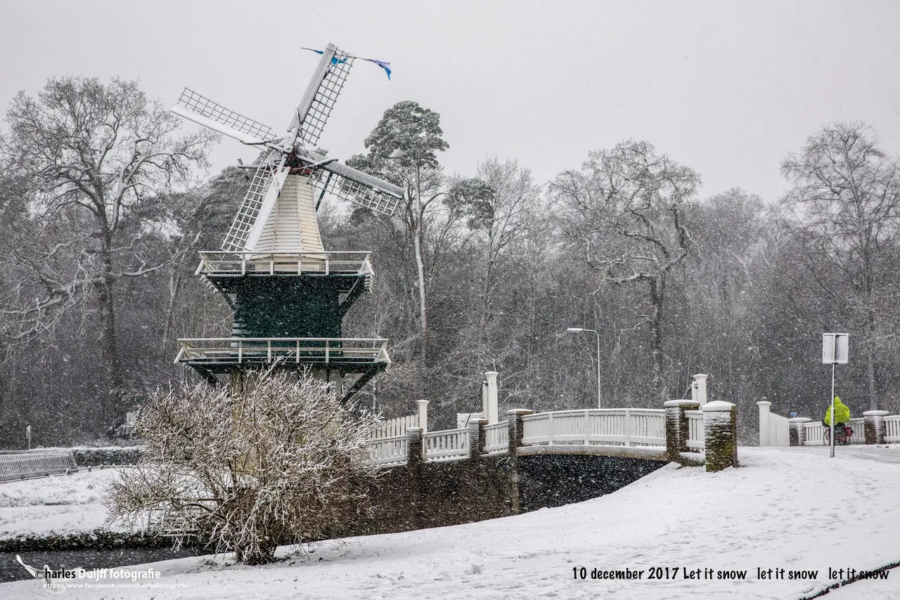 molen let it snow