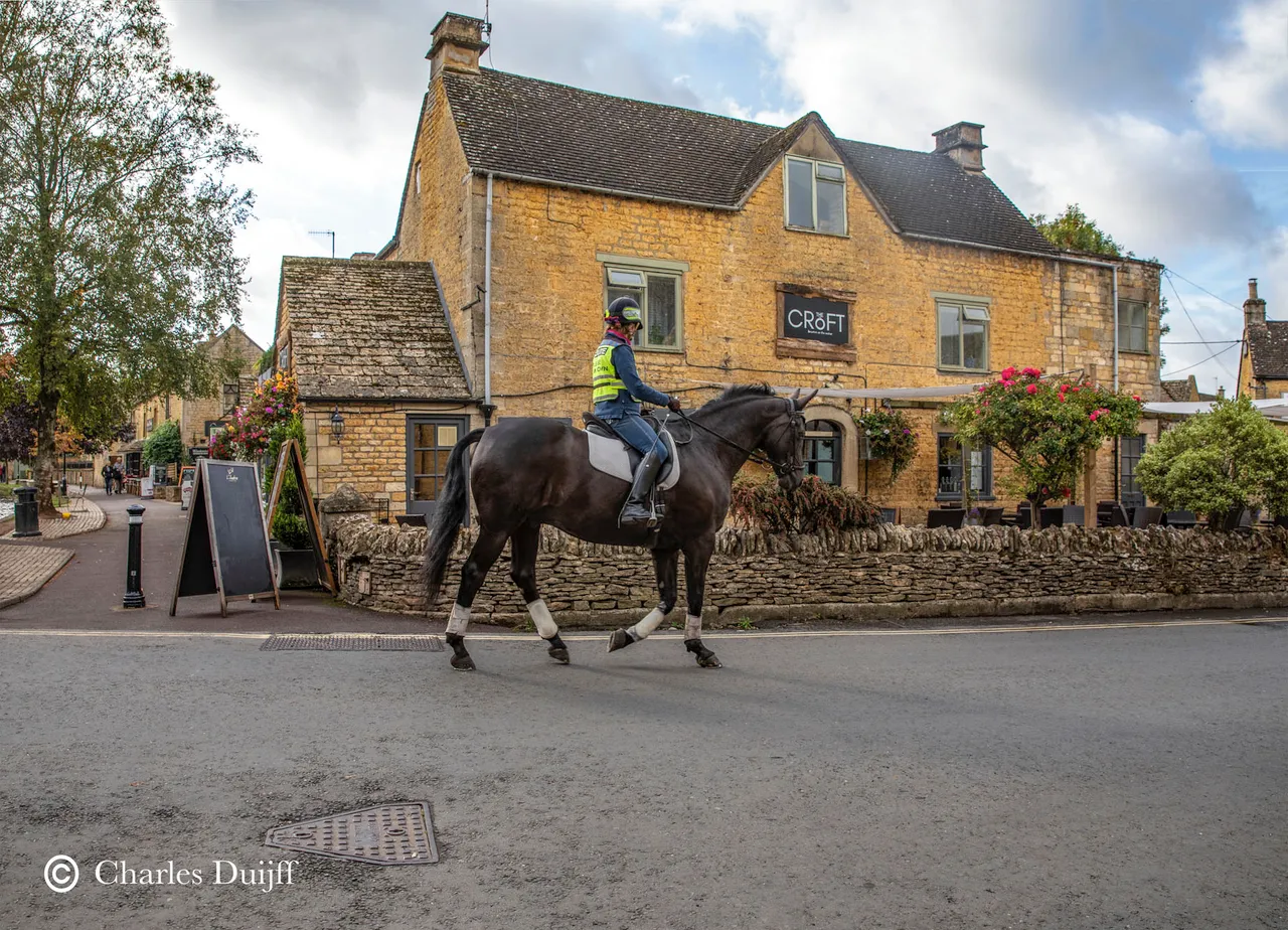 police horse