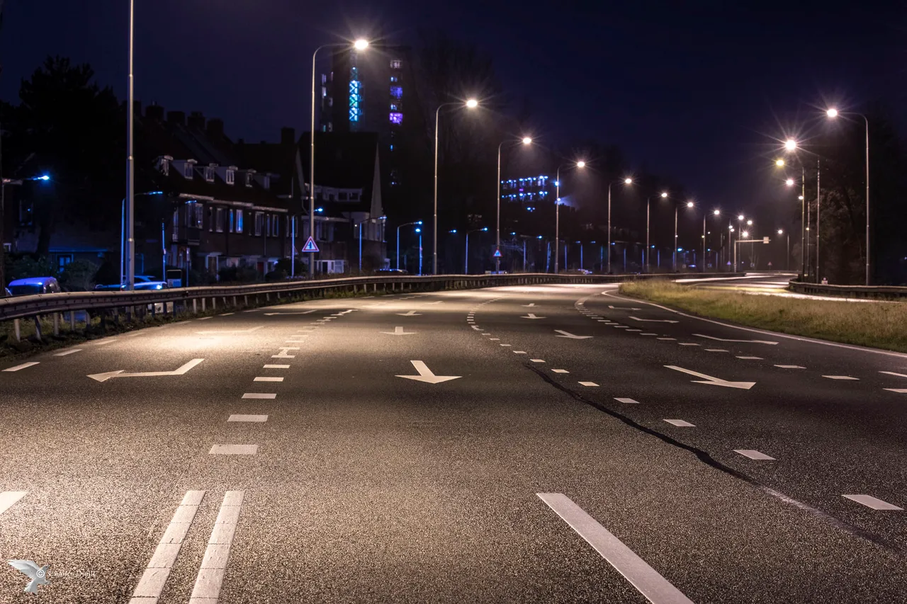 randweg haarlem hoog