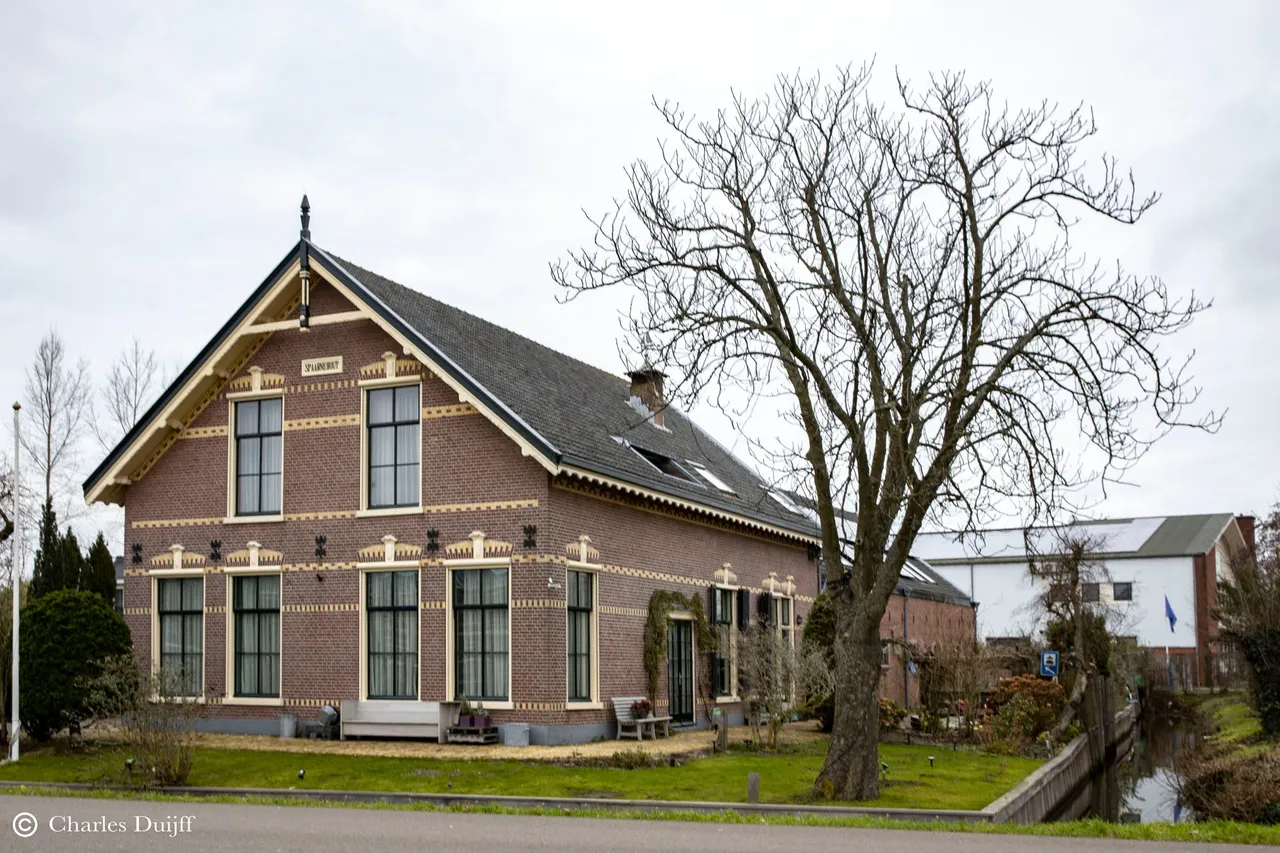rustiek3