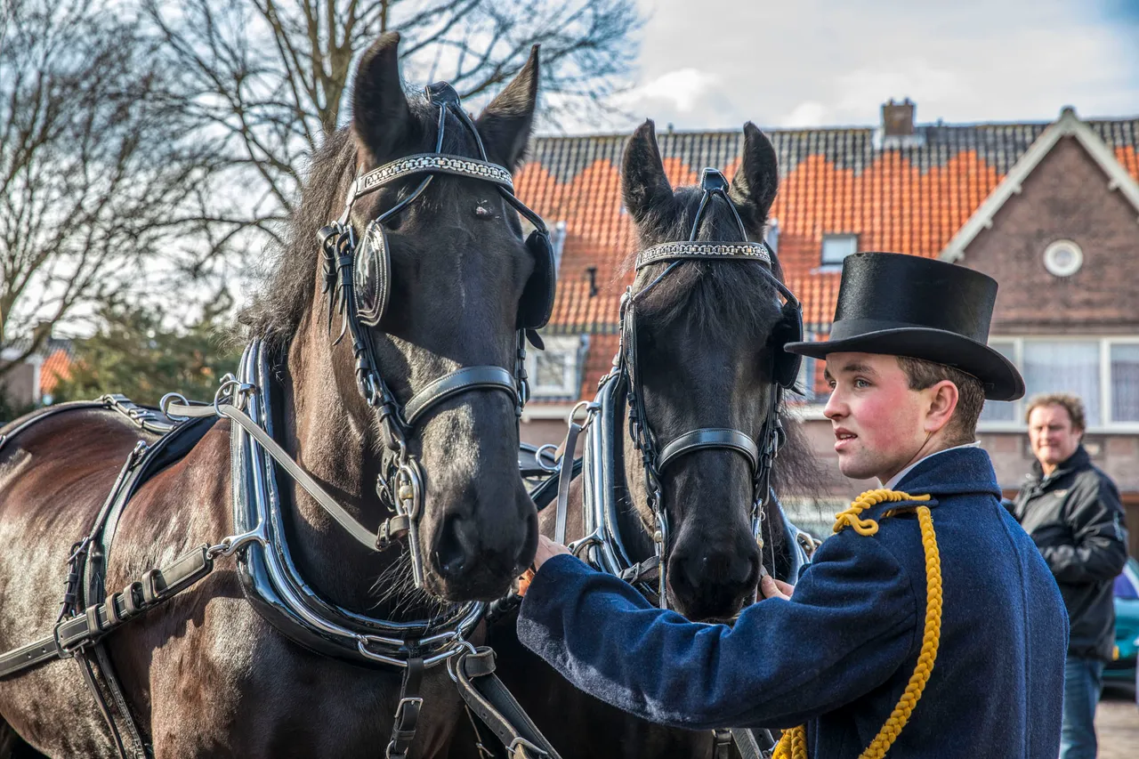 span paarden 2