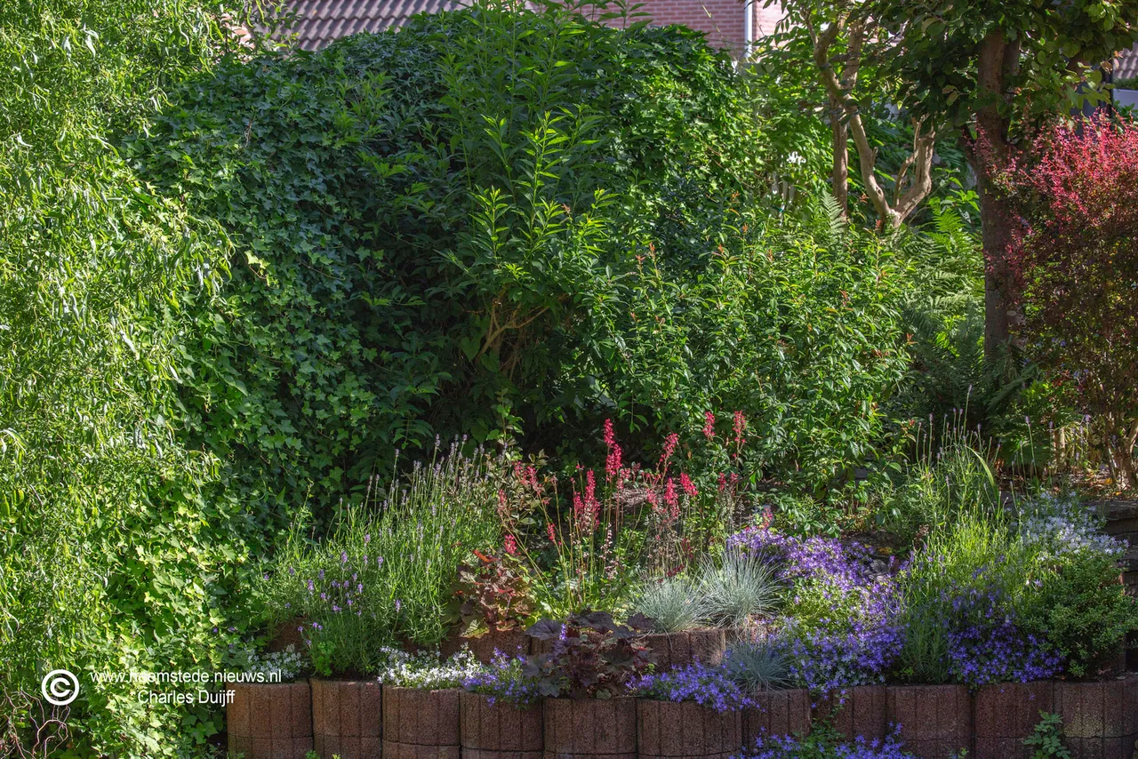 tuin kadijk