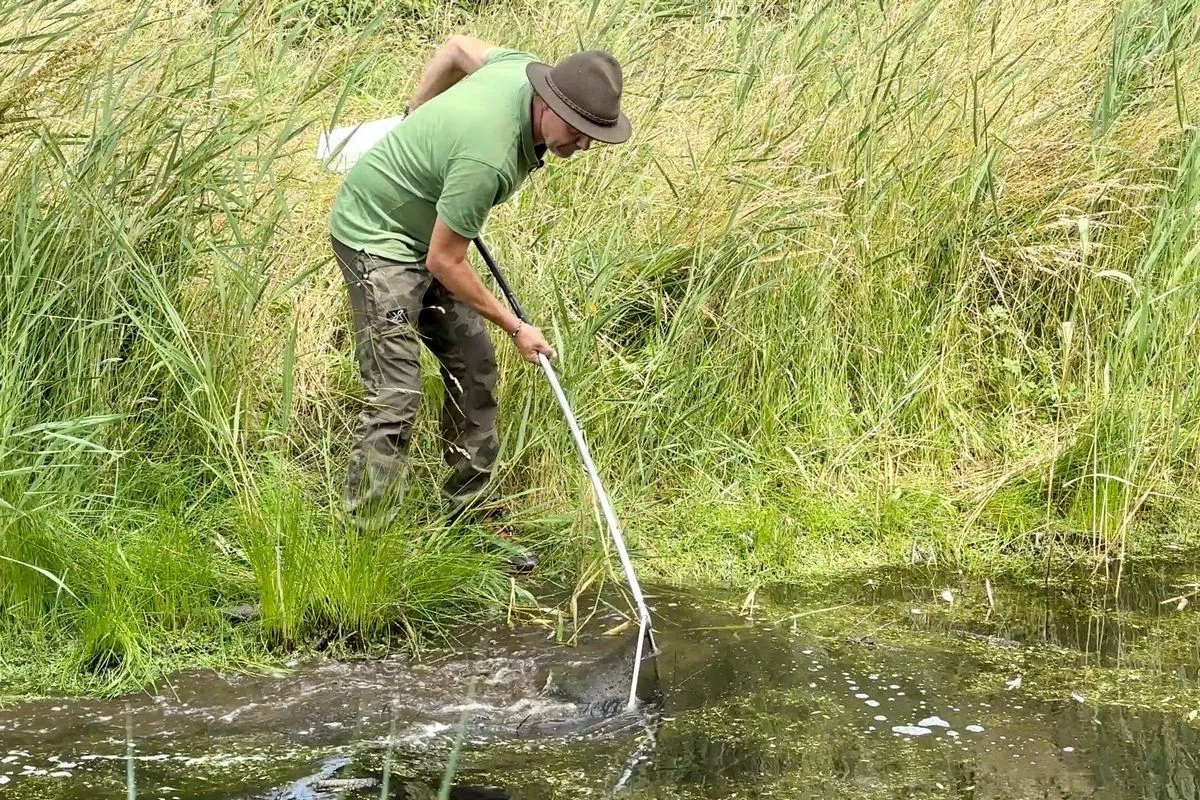 whatsapp image 2023 07 01 at 100341