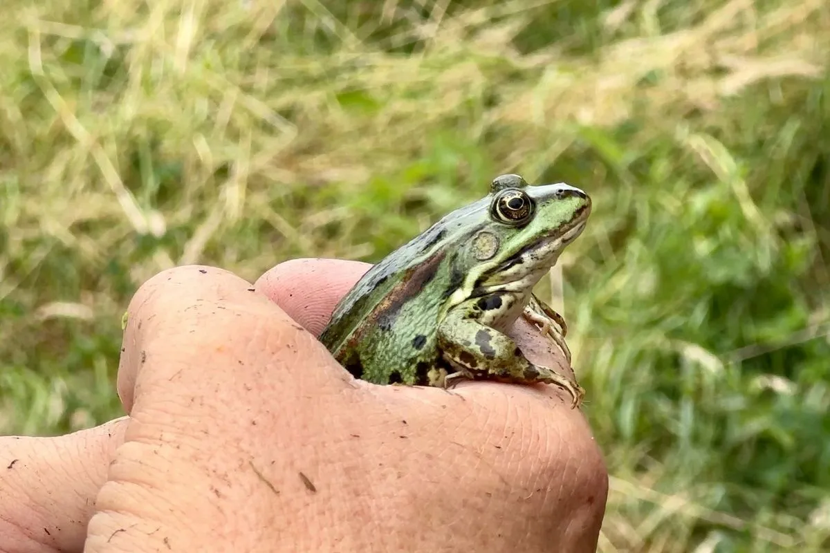 whatsapp image 2023 07 01 at 100343