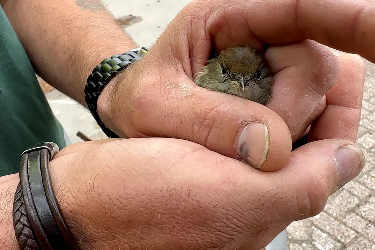 whatsapp image 2023 07 05 at 092432 kopieren