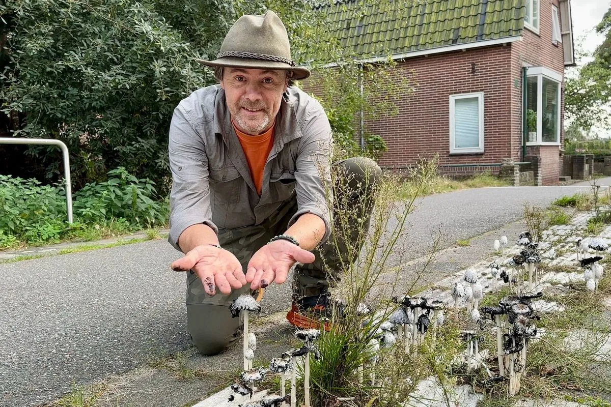 whatsapp image 2023 10 07 at 134047