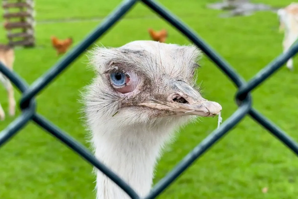 whatsapp image 2023 10 29 at 113802