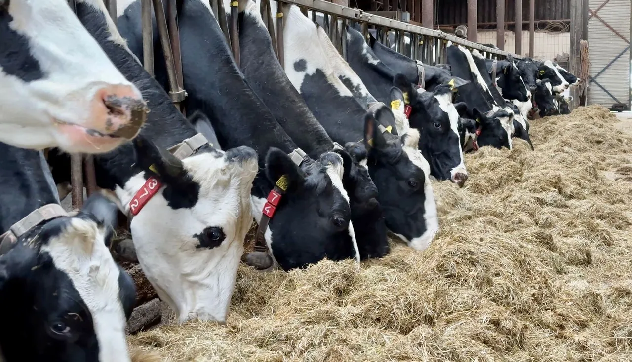 whatsapp image 2023 11 04 at 171805