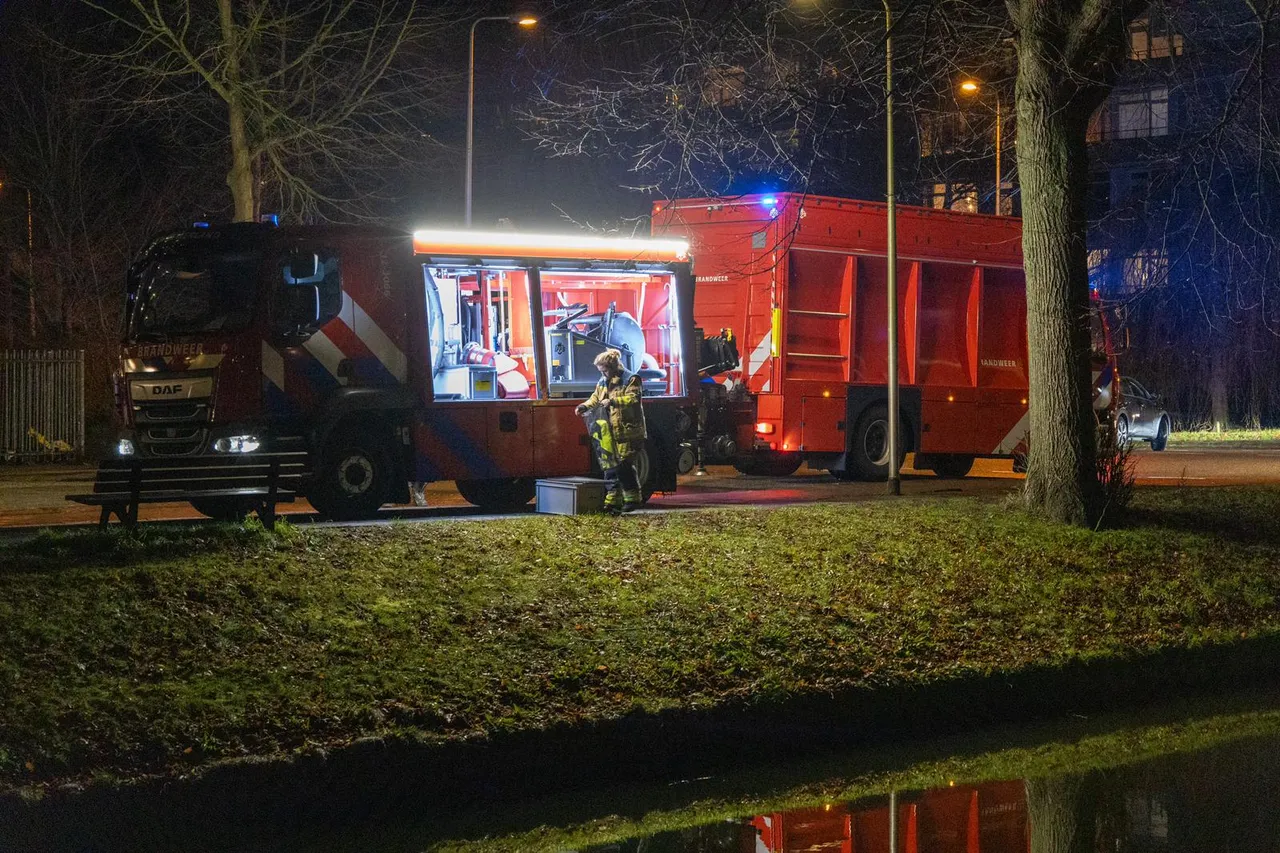 whatsapp image 2023 12 06 at 191754