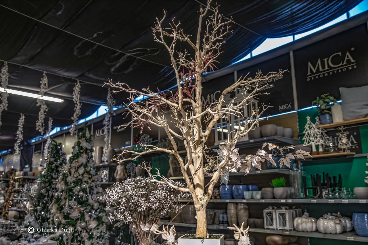 white tree