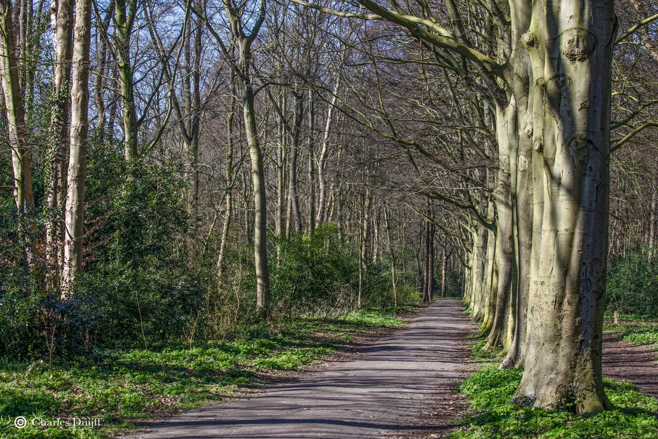 bospad fraai beeckesteijn