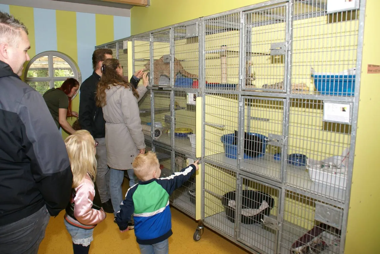 Eerdere open dag Stichting Zwerfdier Foto M. Zoon