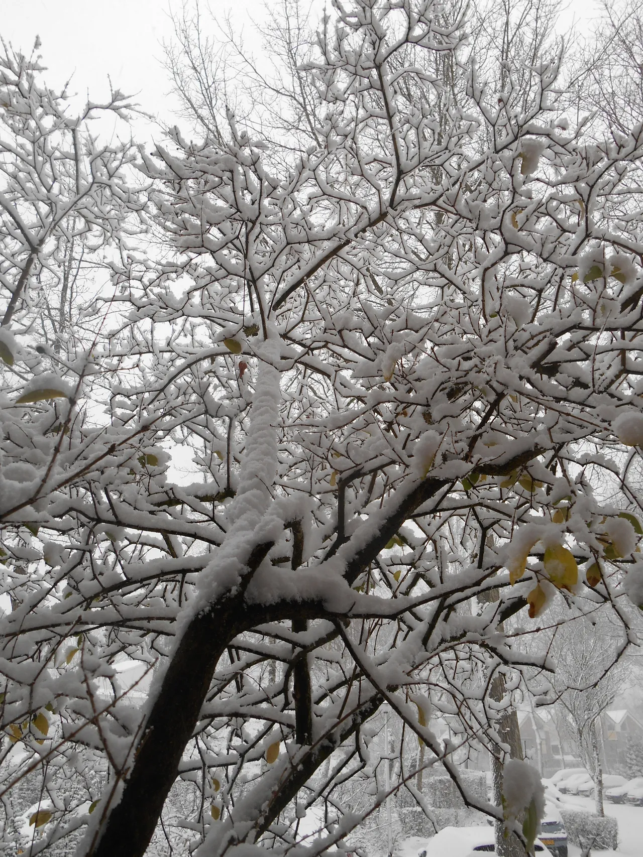 dscn0879