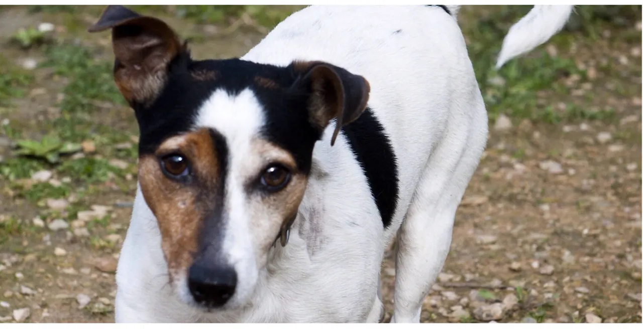 jaimy1 e1432220914371