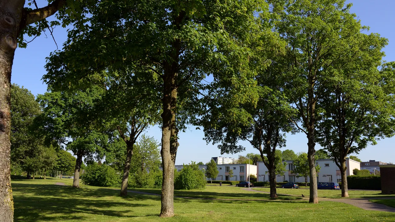 rolduckerveld 2