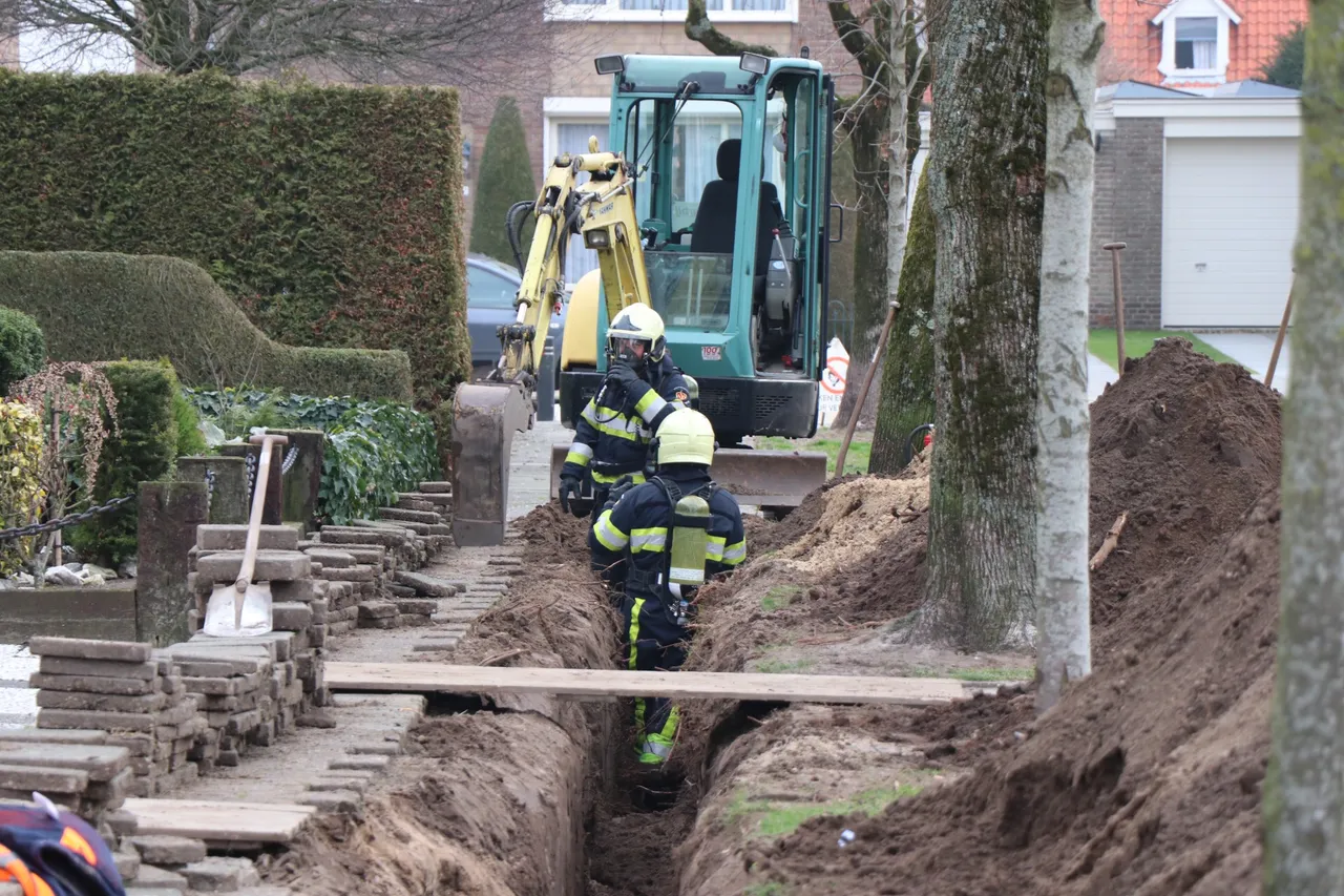 1472764624300822765 img 38811