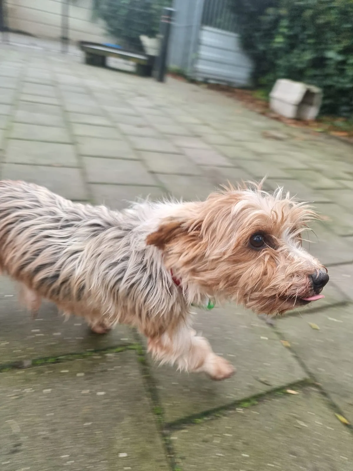 1fb8d70c a22e 4f1b bccd 2dc23011ed14