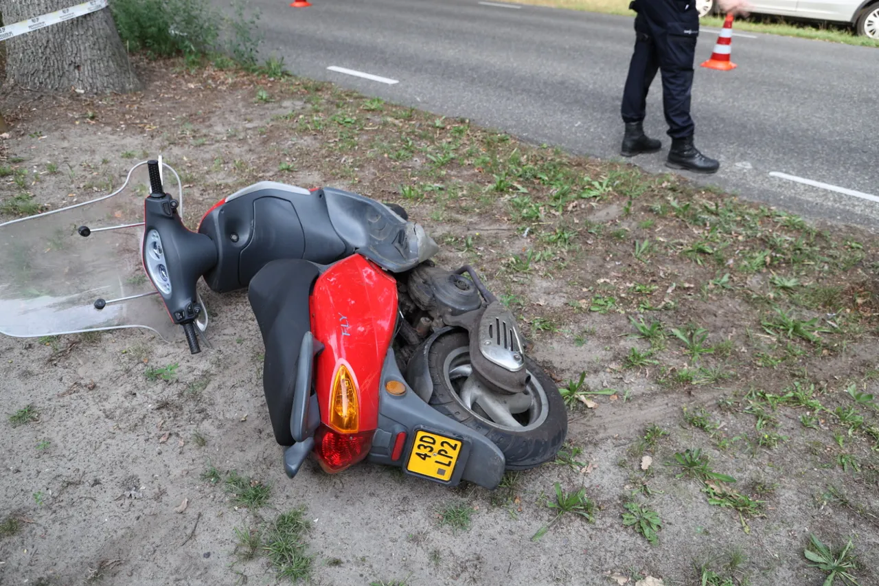 20190828175531 fpmb0510