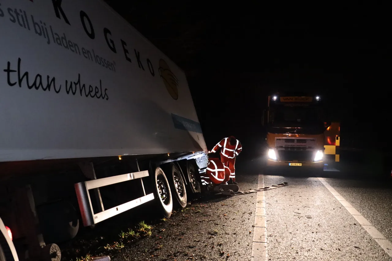 20210123053203 fpmb0026