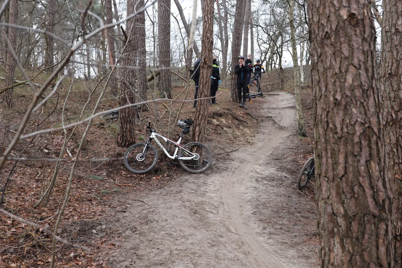 20210206122647 fpmb0334