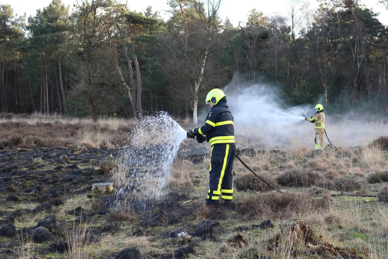 20230227181158 img 2827