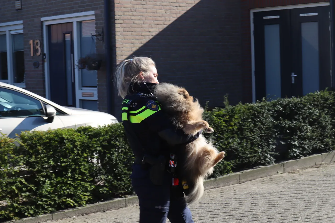 20230228150348 img 3052