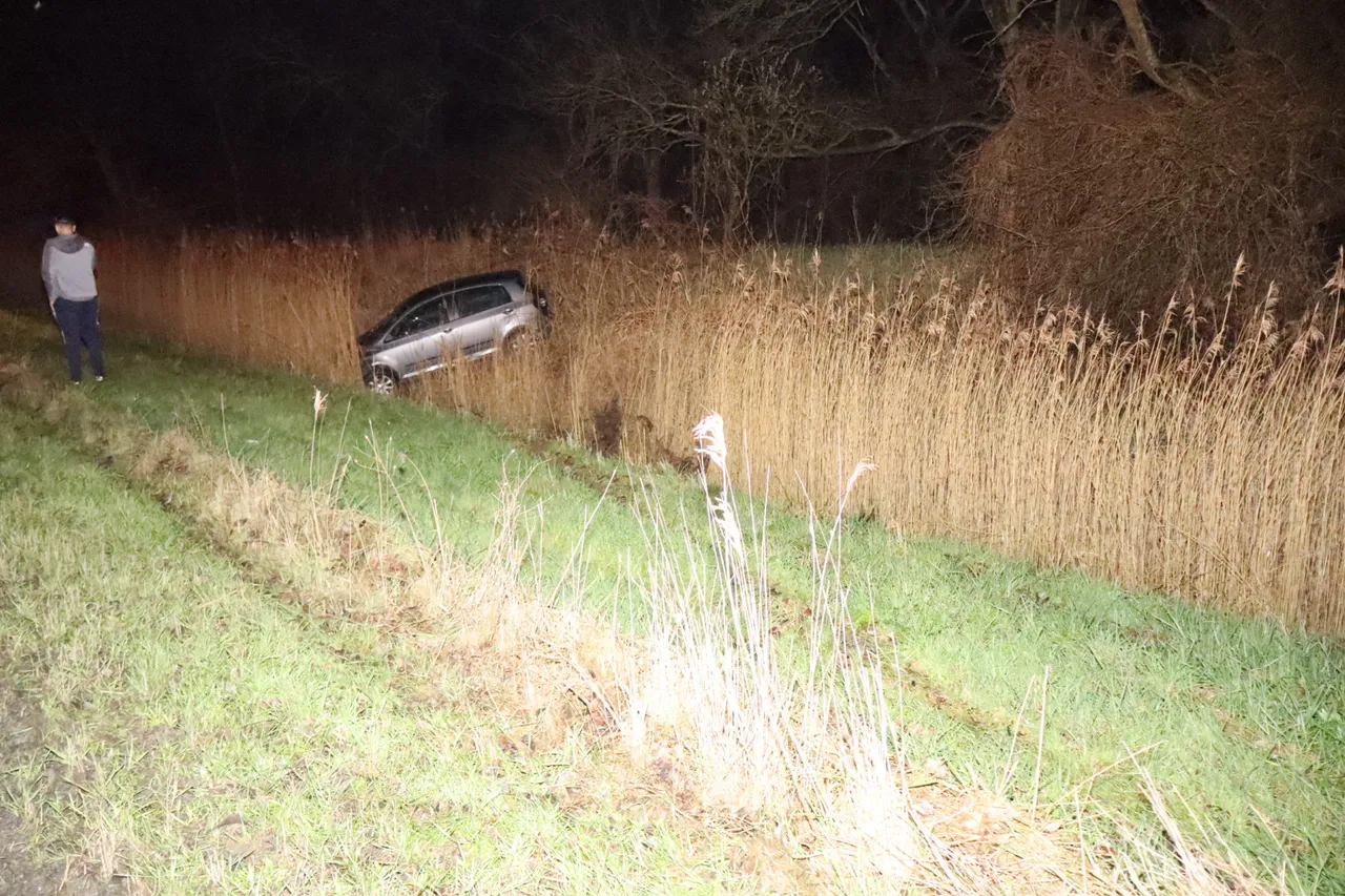 20240305191242 img 7507