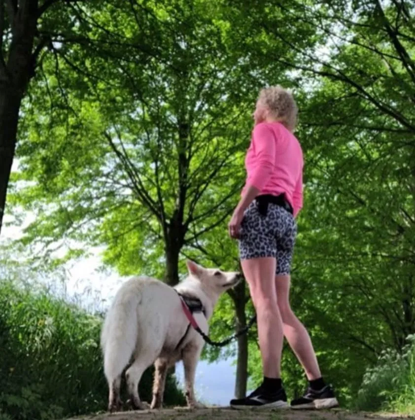 5e29f52c 13e3 4695 9488 ec01f27fa877