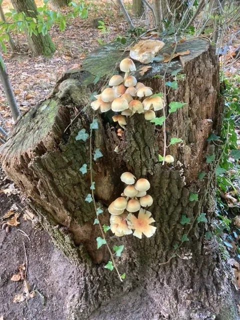 6666e4b5 9e4e 4559 b6a4 c99dbf0dea1d 1 105 c