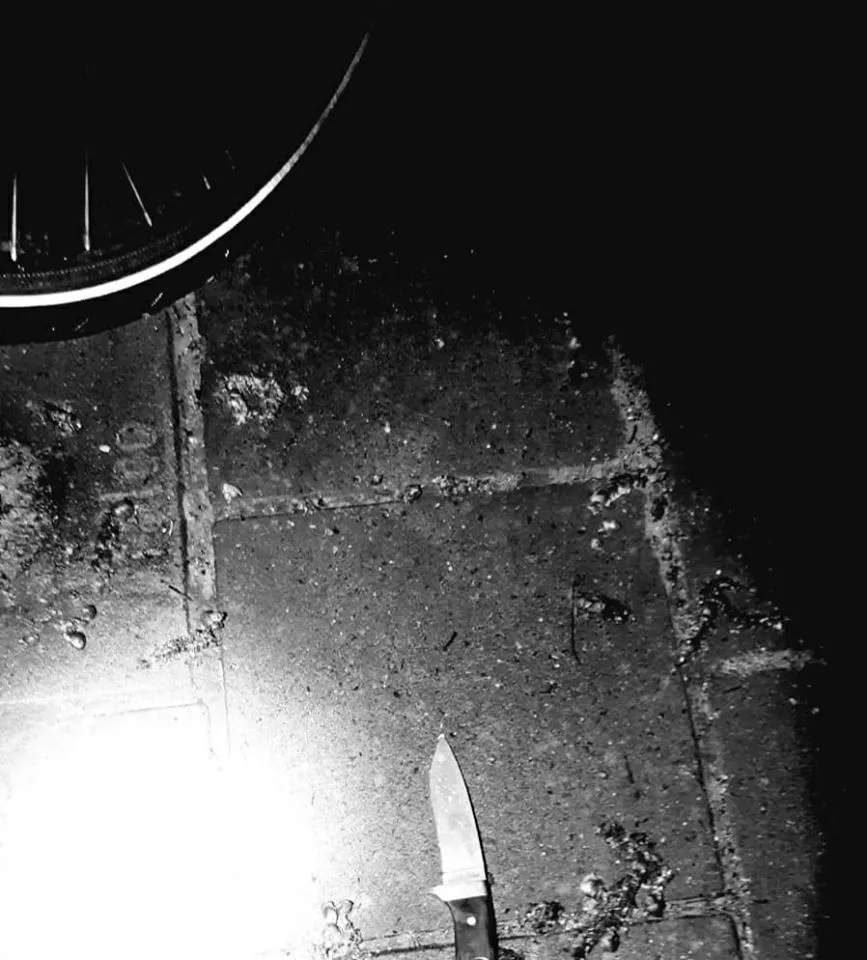 88100433 2530608673847045 5237577463441129472 o