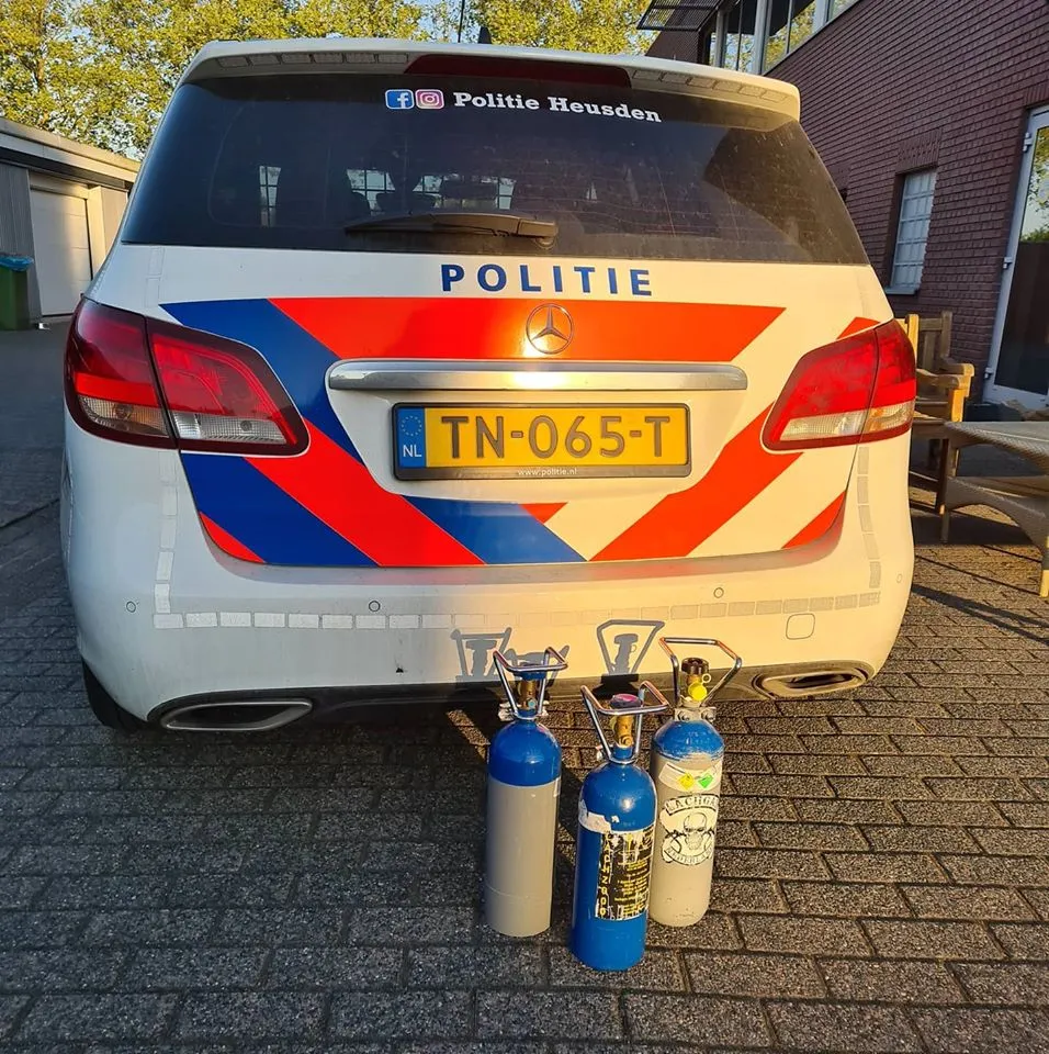 96513408 2590446327863279 7753261291858296832 o