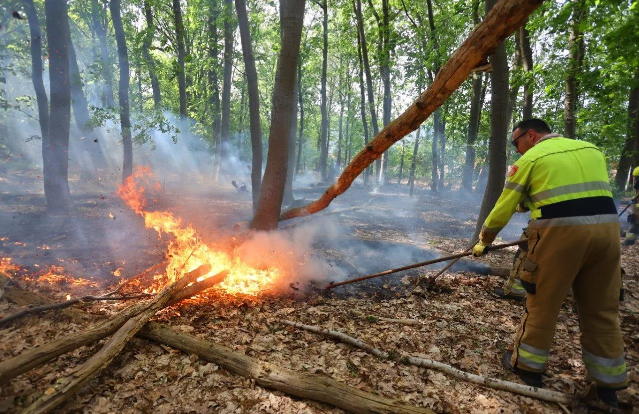 brand bos heidijk vlijmen 6
