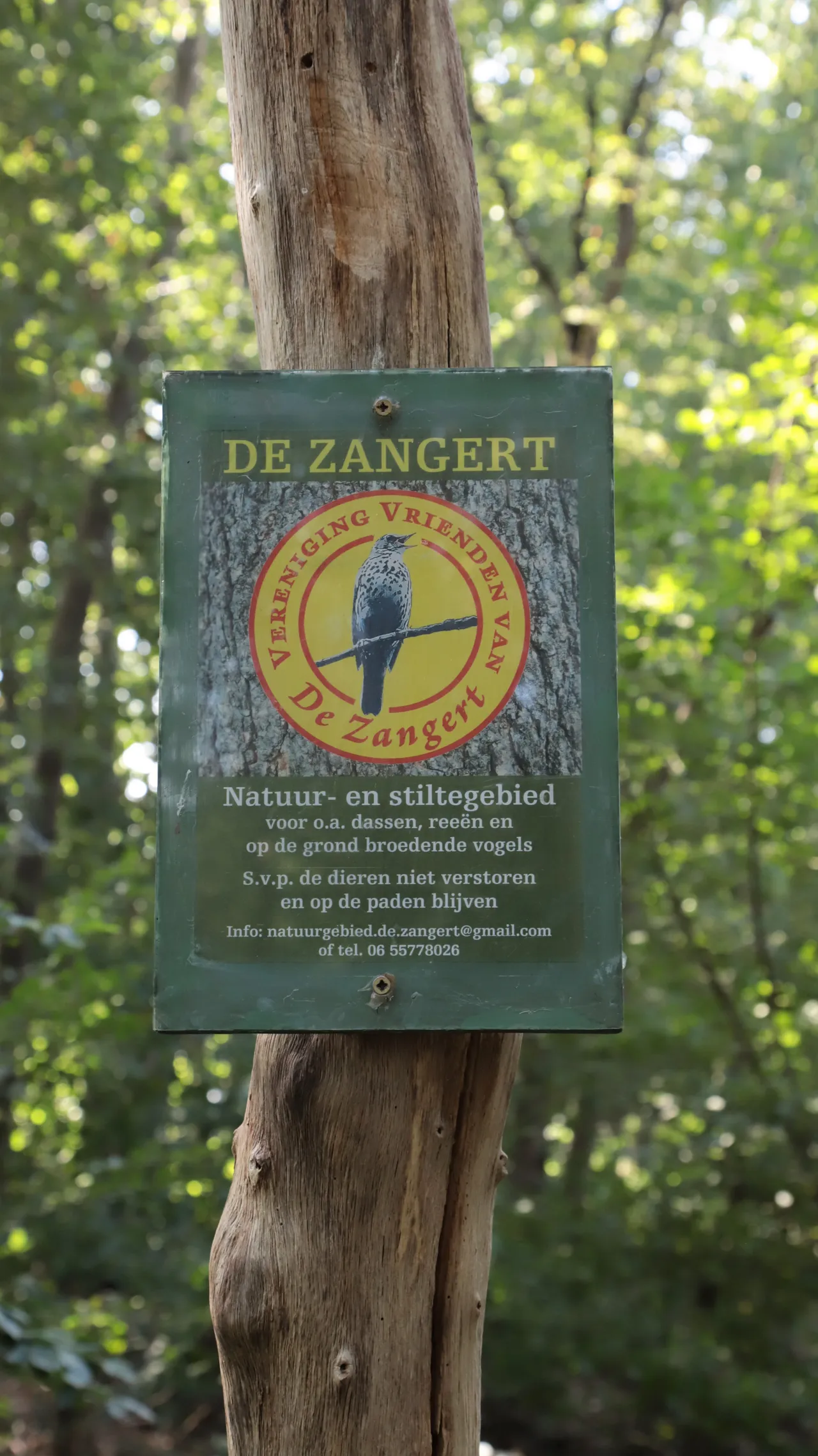 de hooge bank 4