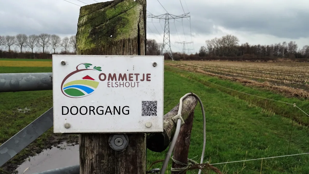 dsc07823 groot