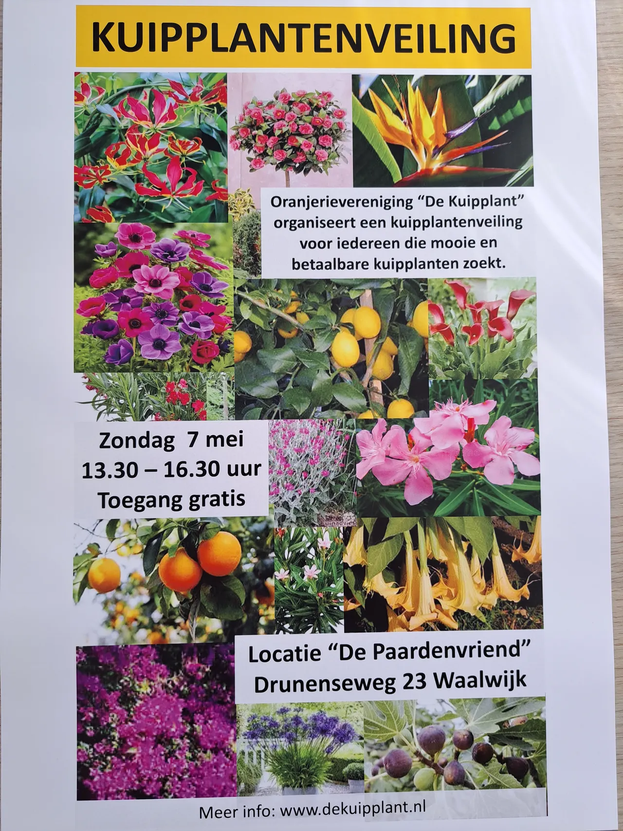 foto poster