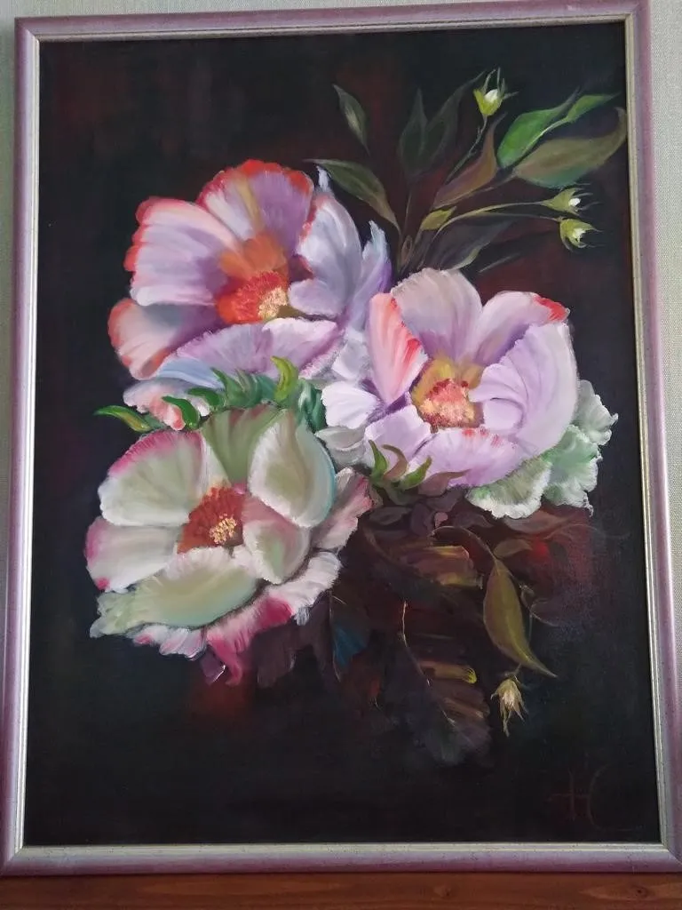 hanneke 2