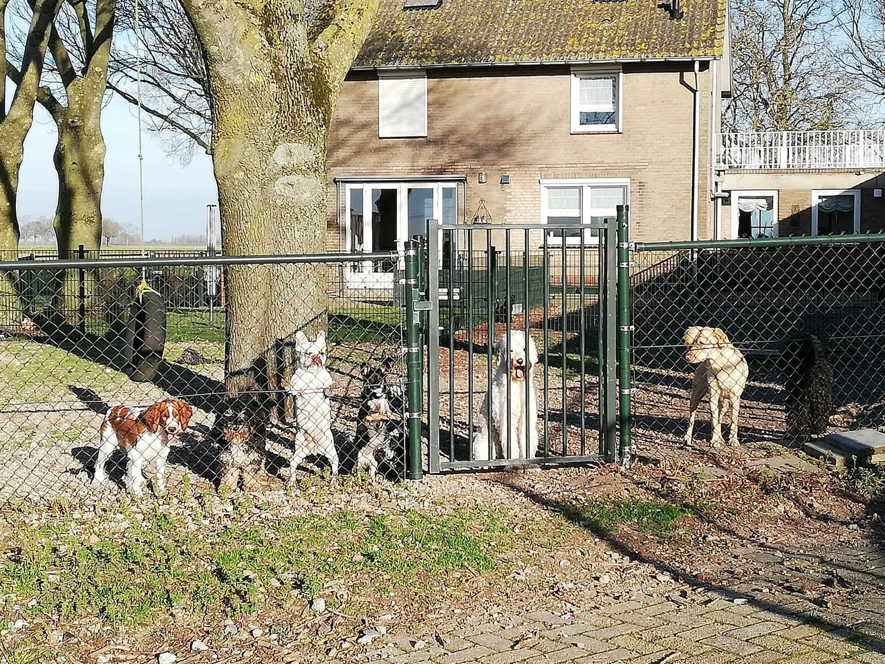 heusden nieuws 4 1
