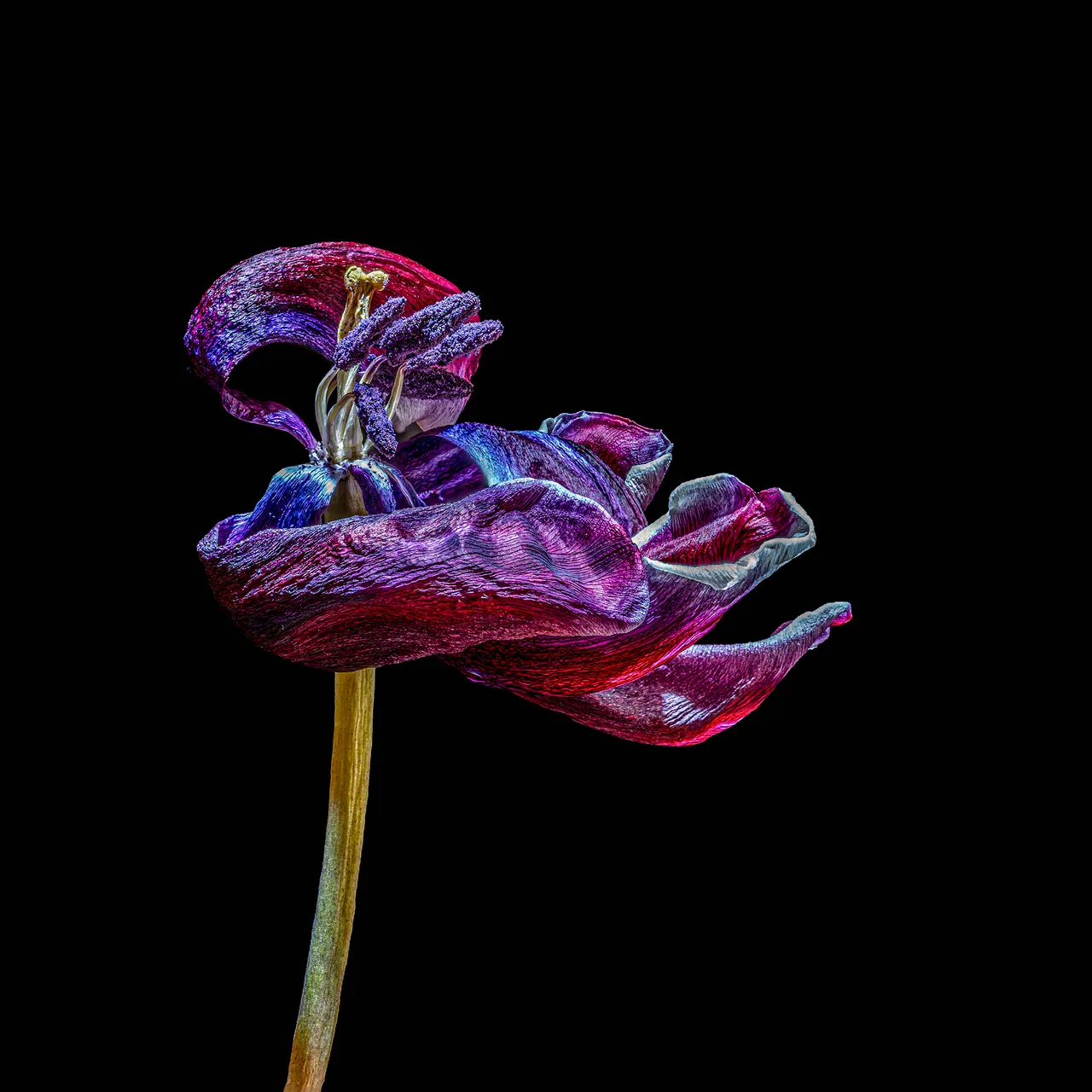 hn 008 jaswant koendjbiharie