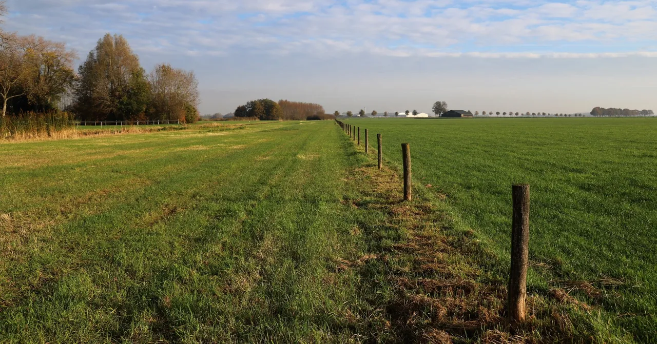img 7086 groot