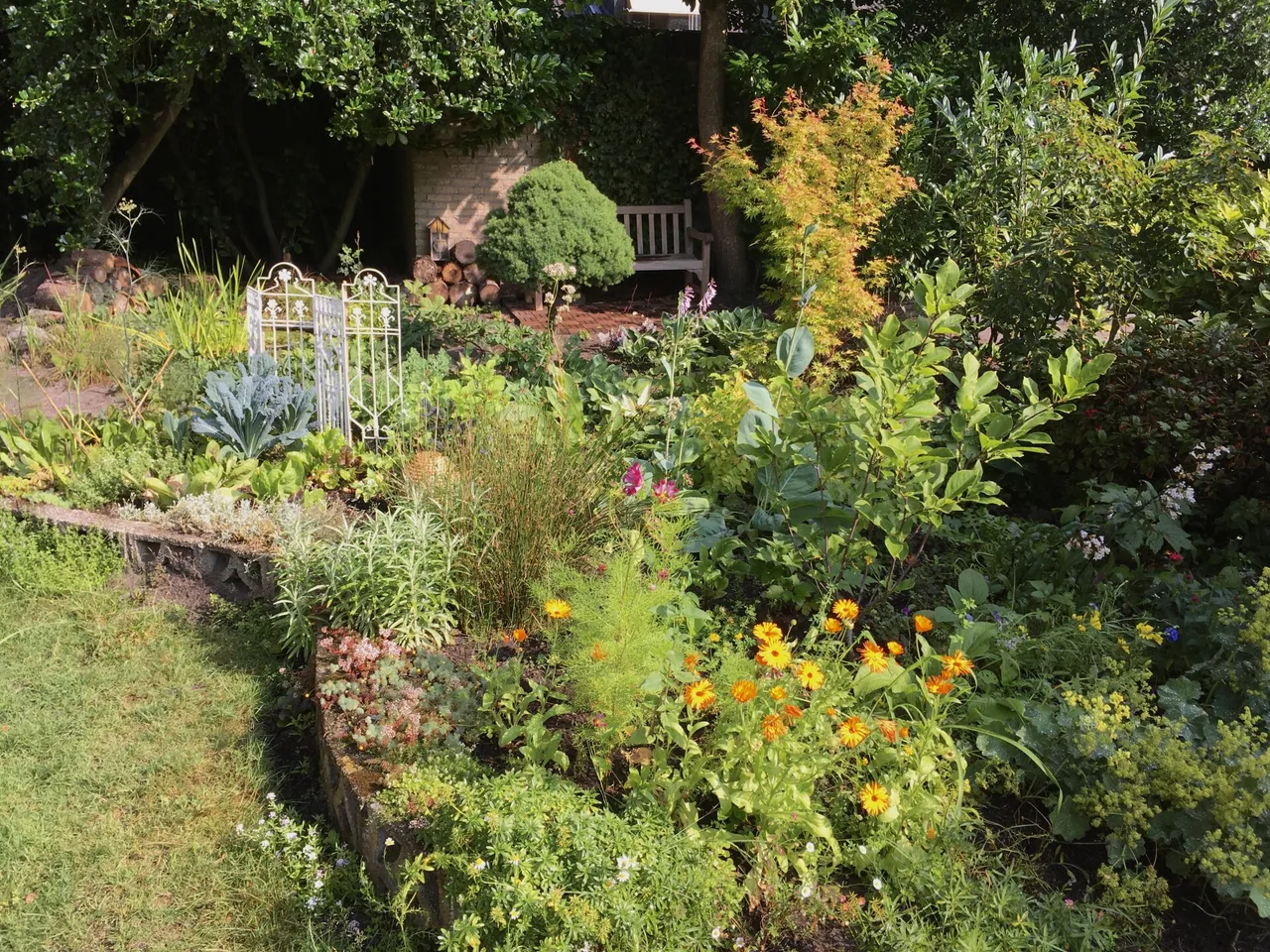 levende tuin 6 10 2022