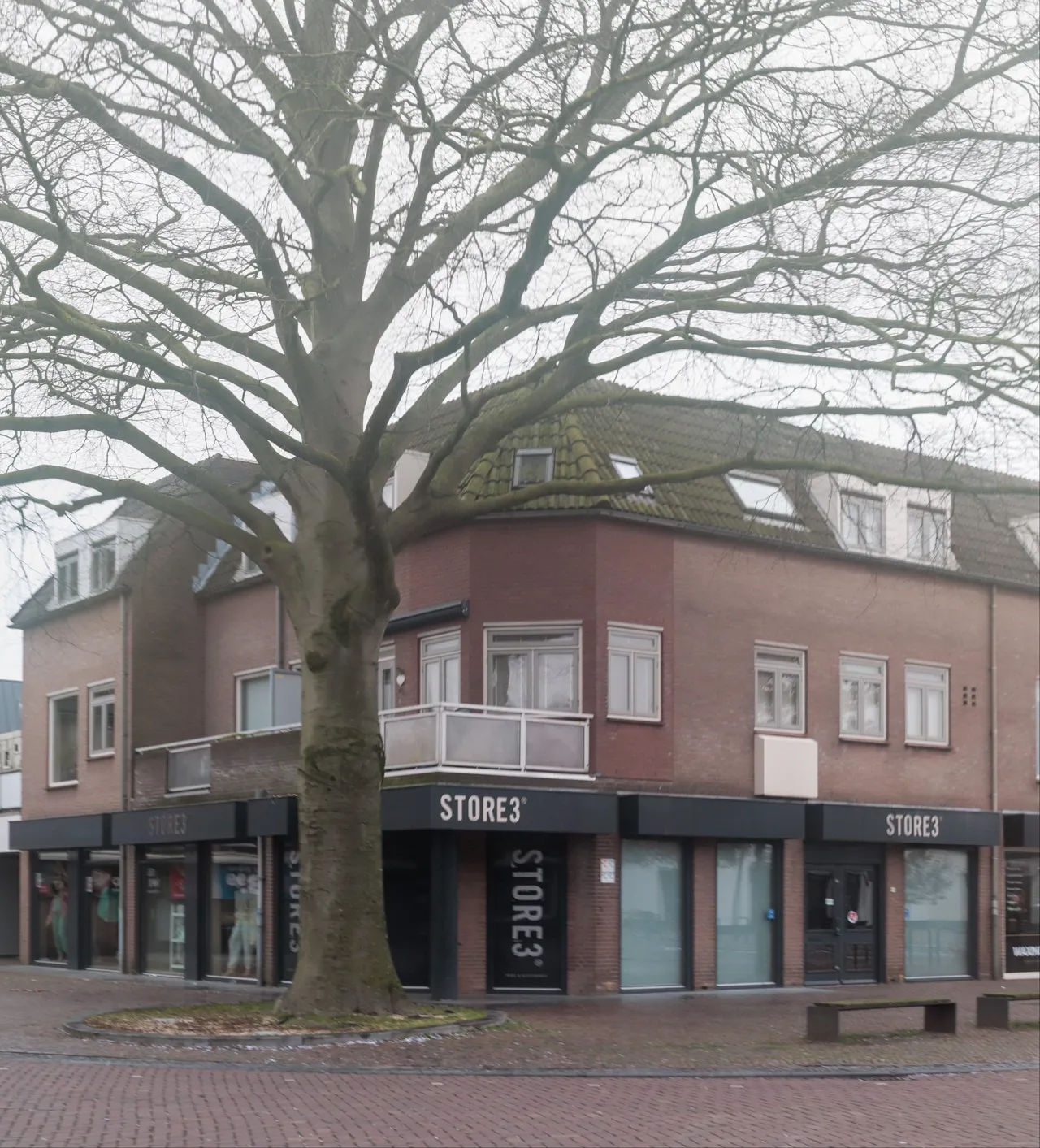 De meer dan 100 jaar oude beuk heeft nu een hoogte van omstreeks 25 meter, een stamomtrek van 3,15 meter en een diameter van 1 meter precies