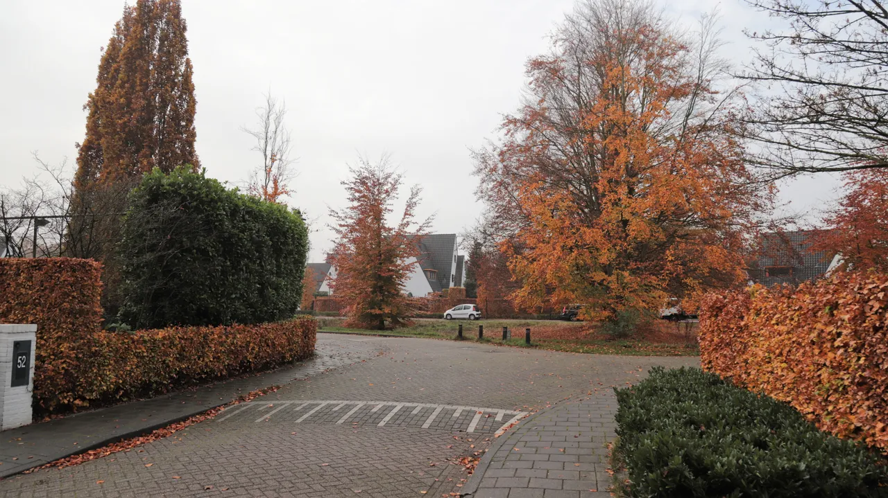 meliestraat meliepark