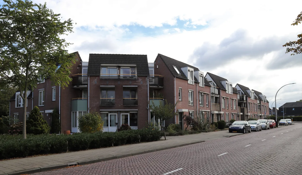 mommersteeg9