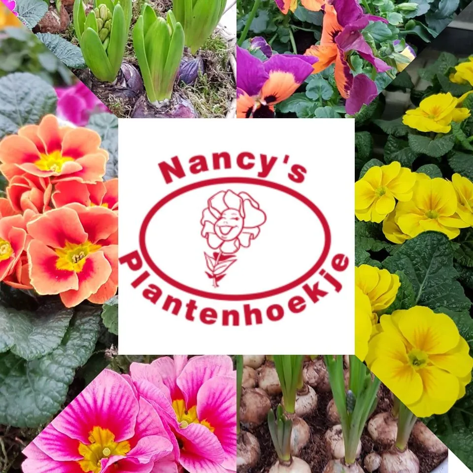 nancy
