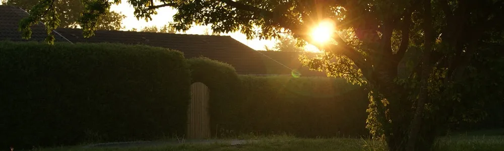 nazomer tuin 1