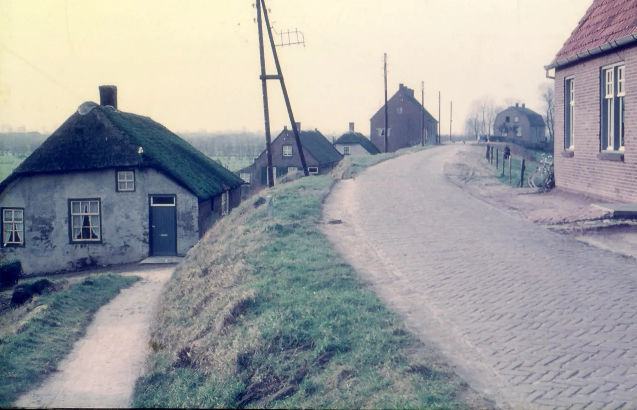 tvdh 001