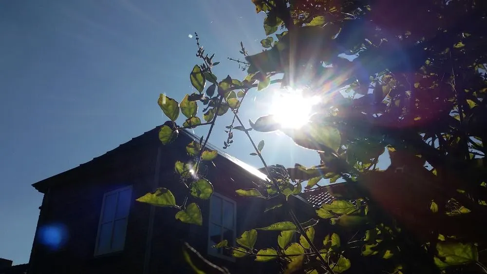 zonnepanelen