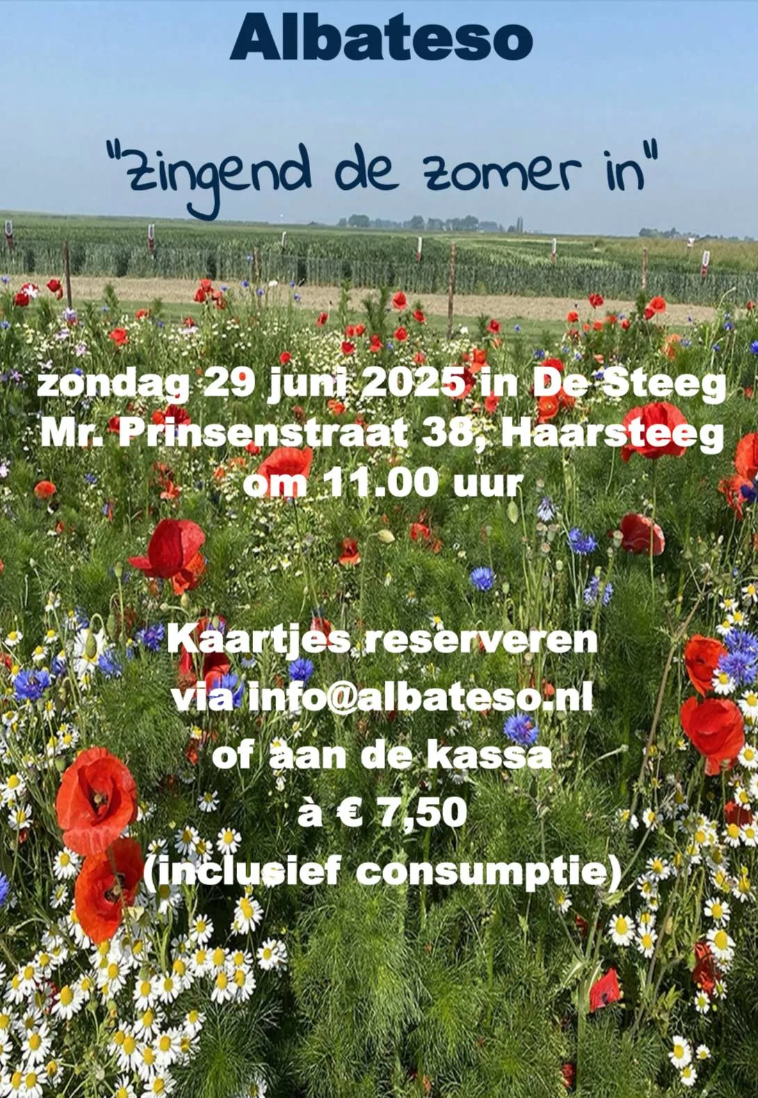 flyer albateso