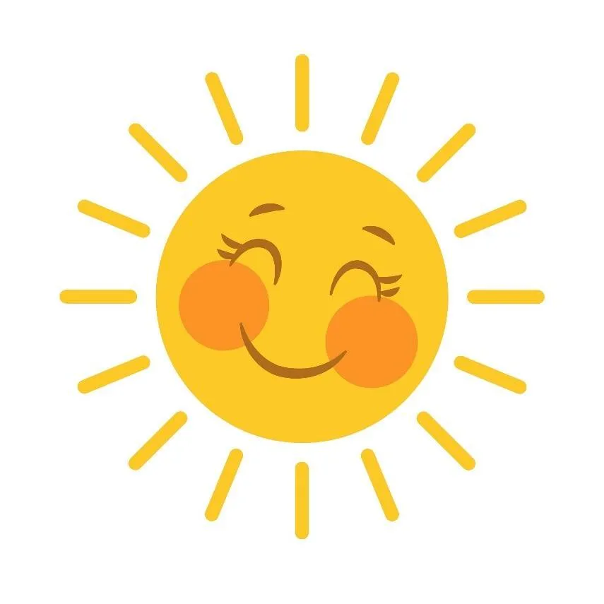 Zomer bij TOON
